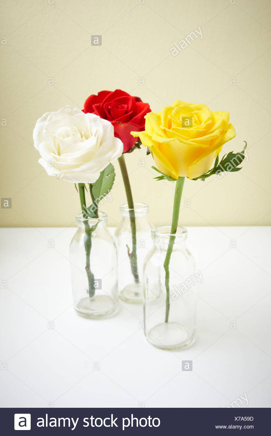 Different Colours Of Roses In Glass Vases Stock Photo 279892185