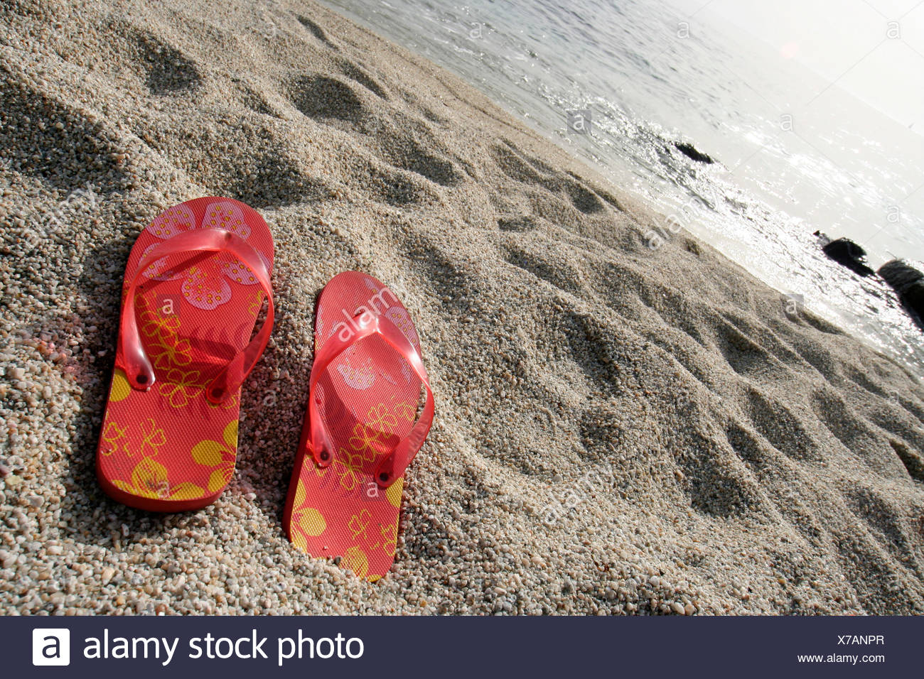 seashore shoes