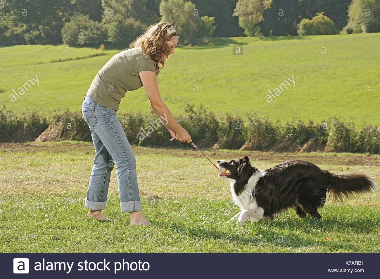 dog pull rope