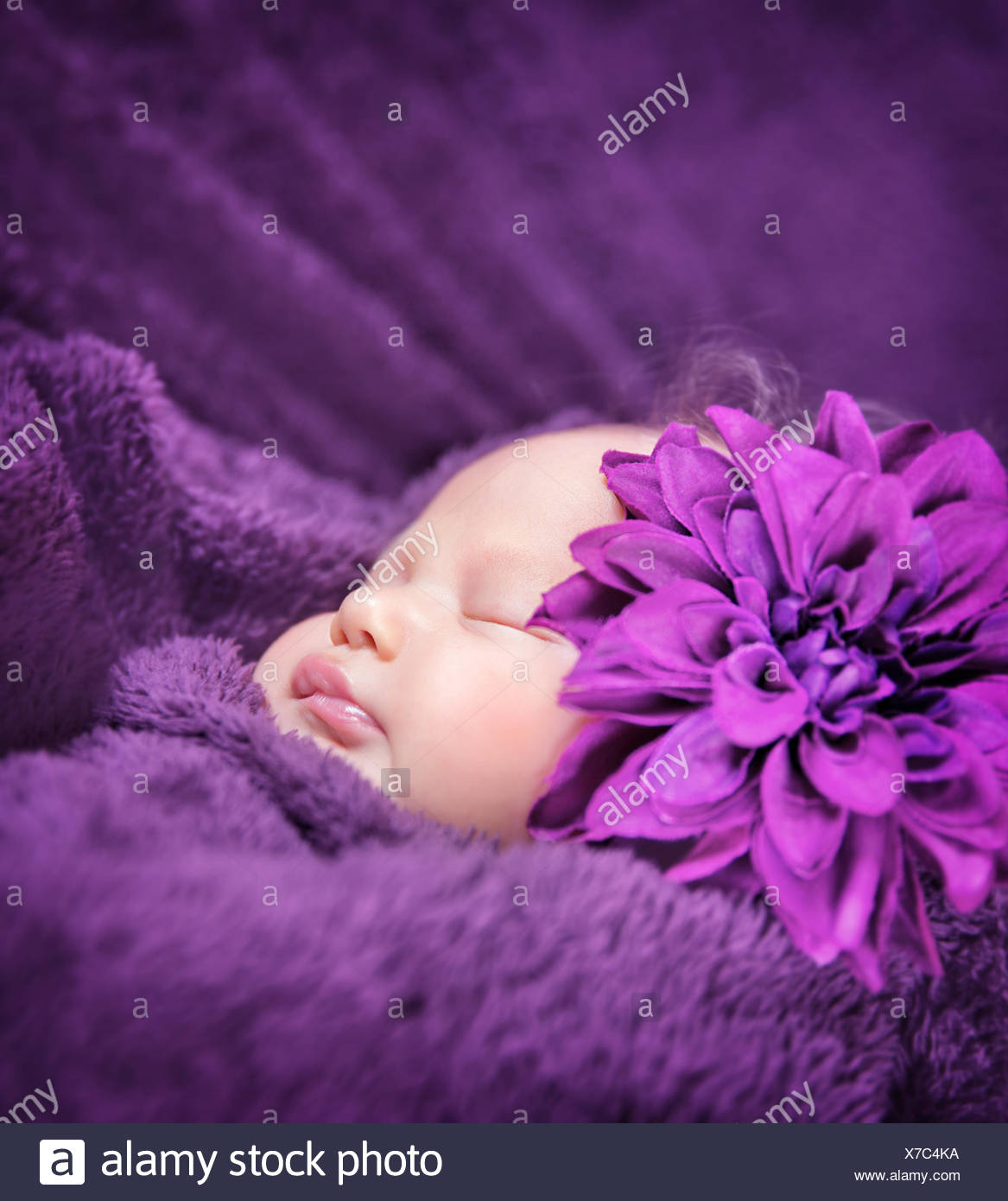 Closeup Portrait Of Cute Sleepy Baby Girl With Stylish Purple Flower On Head Lying Down On Bed Covered In Fluffy Blanket Baby Fashion Concept Stock Photo Alamy