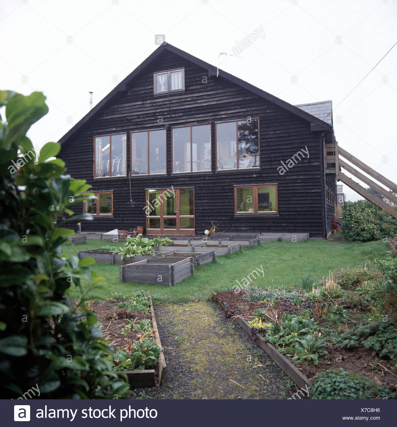 Raised Beds With Wooden Edging In Garden Of Dark Wood
