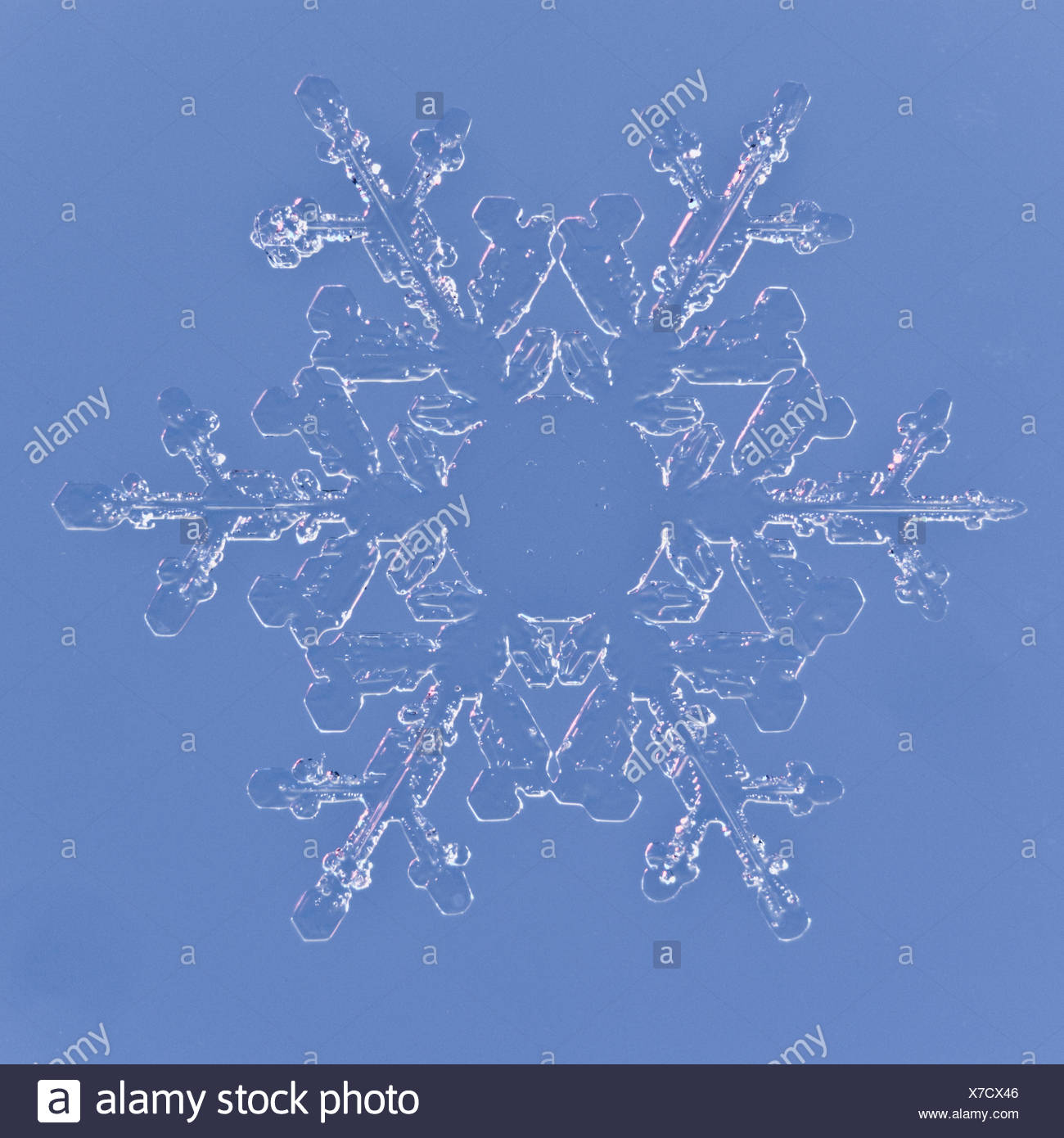 Snowflake magnified under microscope, Lilehammer, Norway Stock Photo