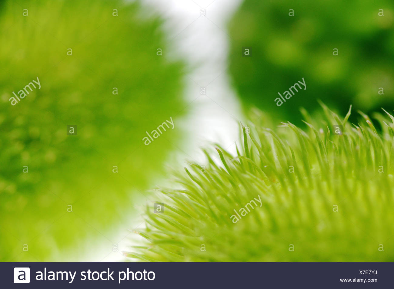 Farbfotografie High Resolution Stock Photography And Images Alamy