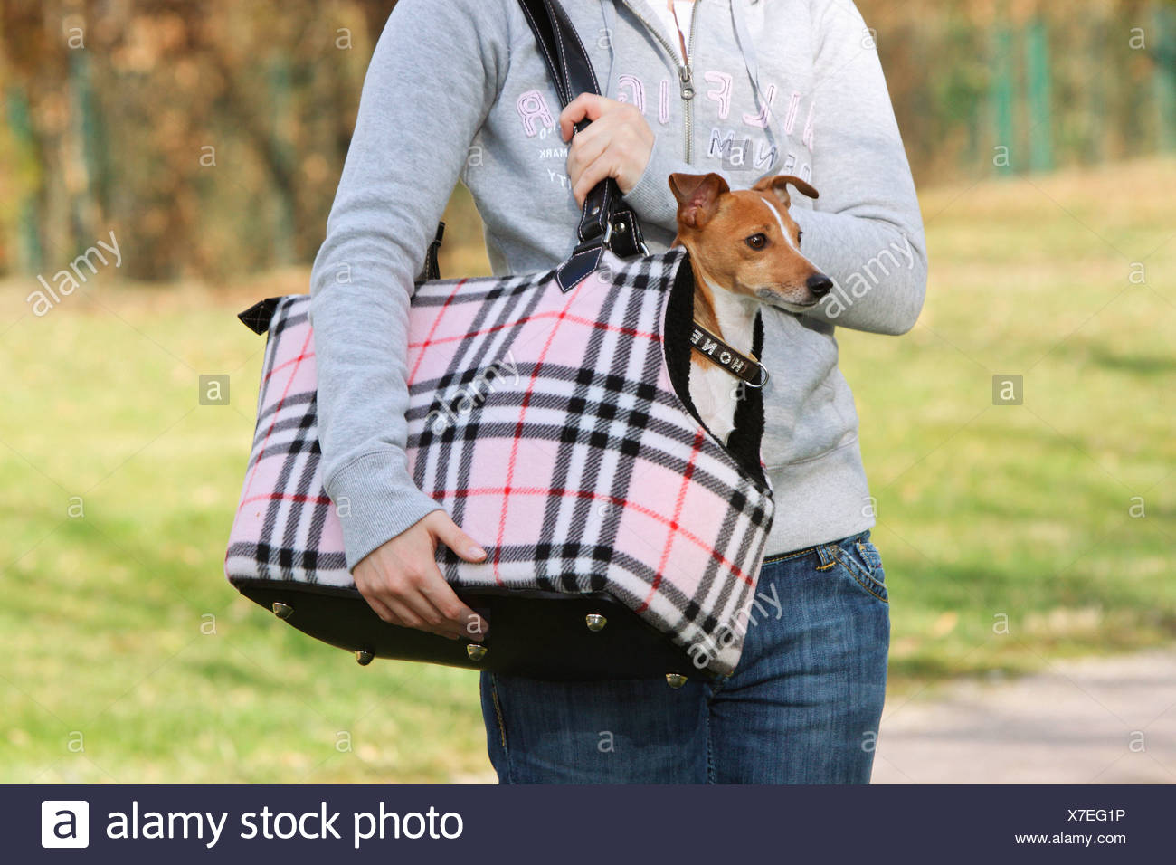 jack russell bag