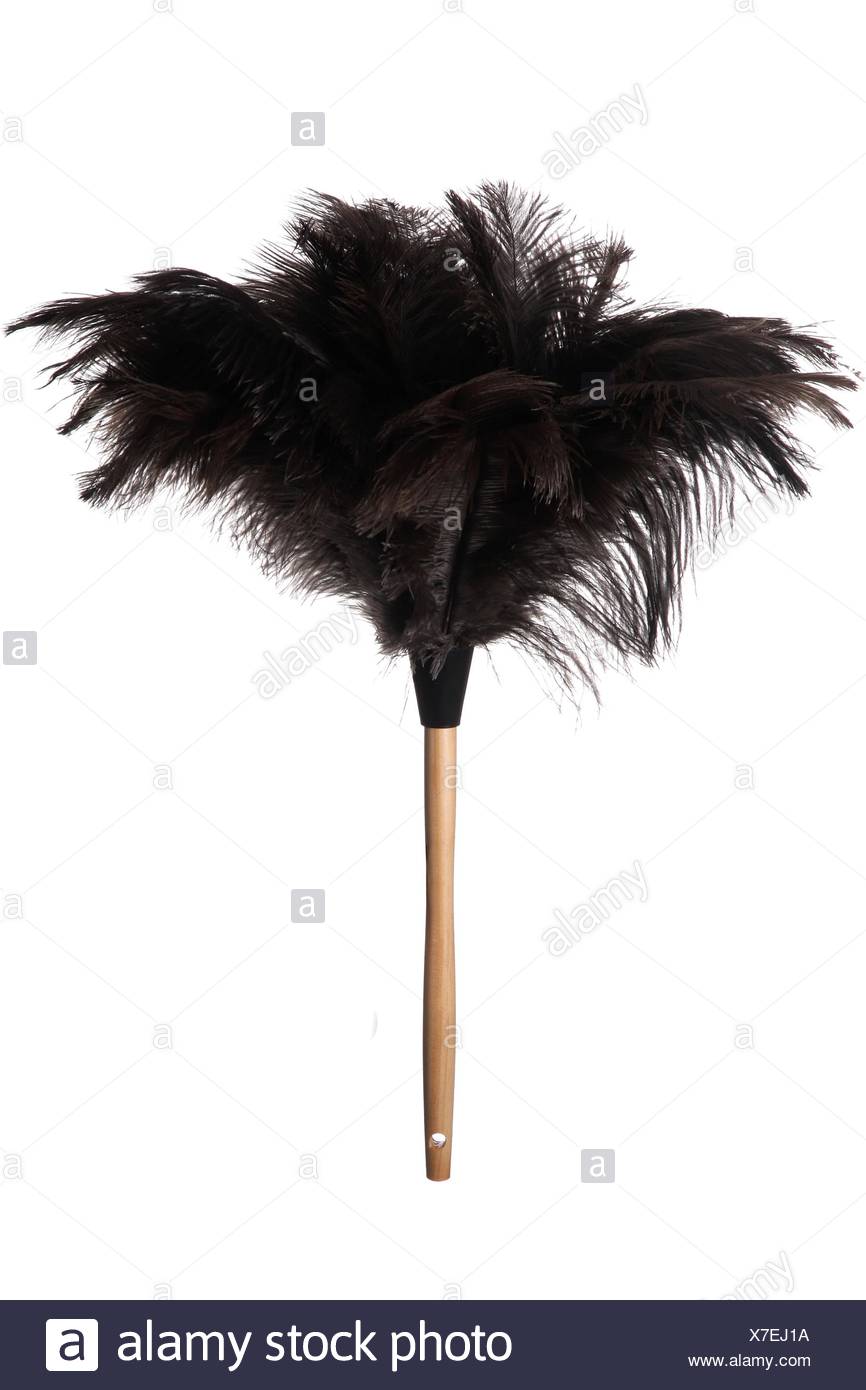 black ostrich feather duster