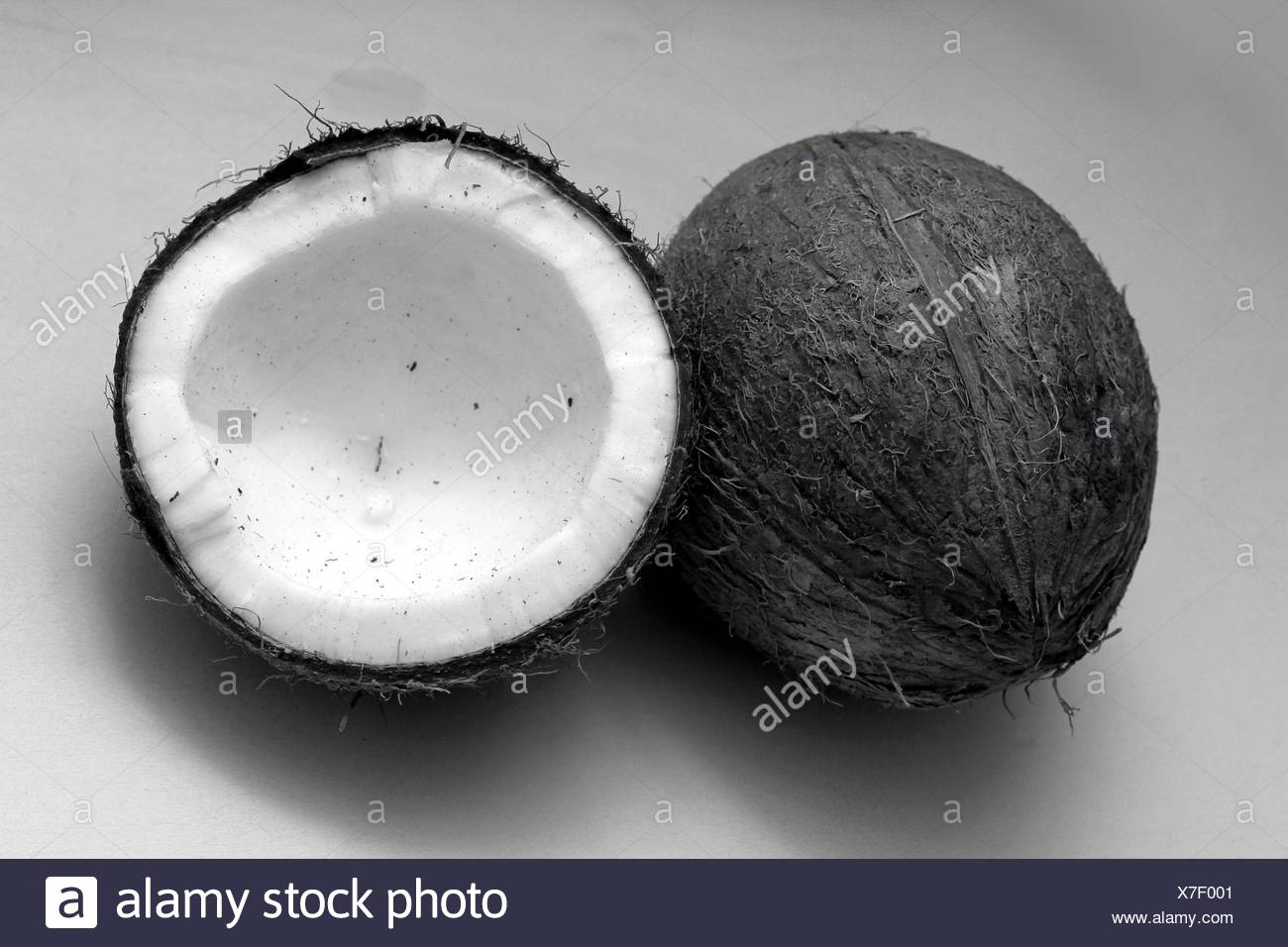 Coconuts Black And White Stock Photo Alamy