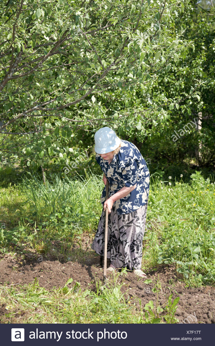 Granny Garden Stock Photos & Granny Garden Stock Images Alamy
