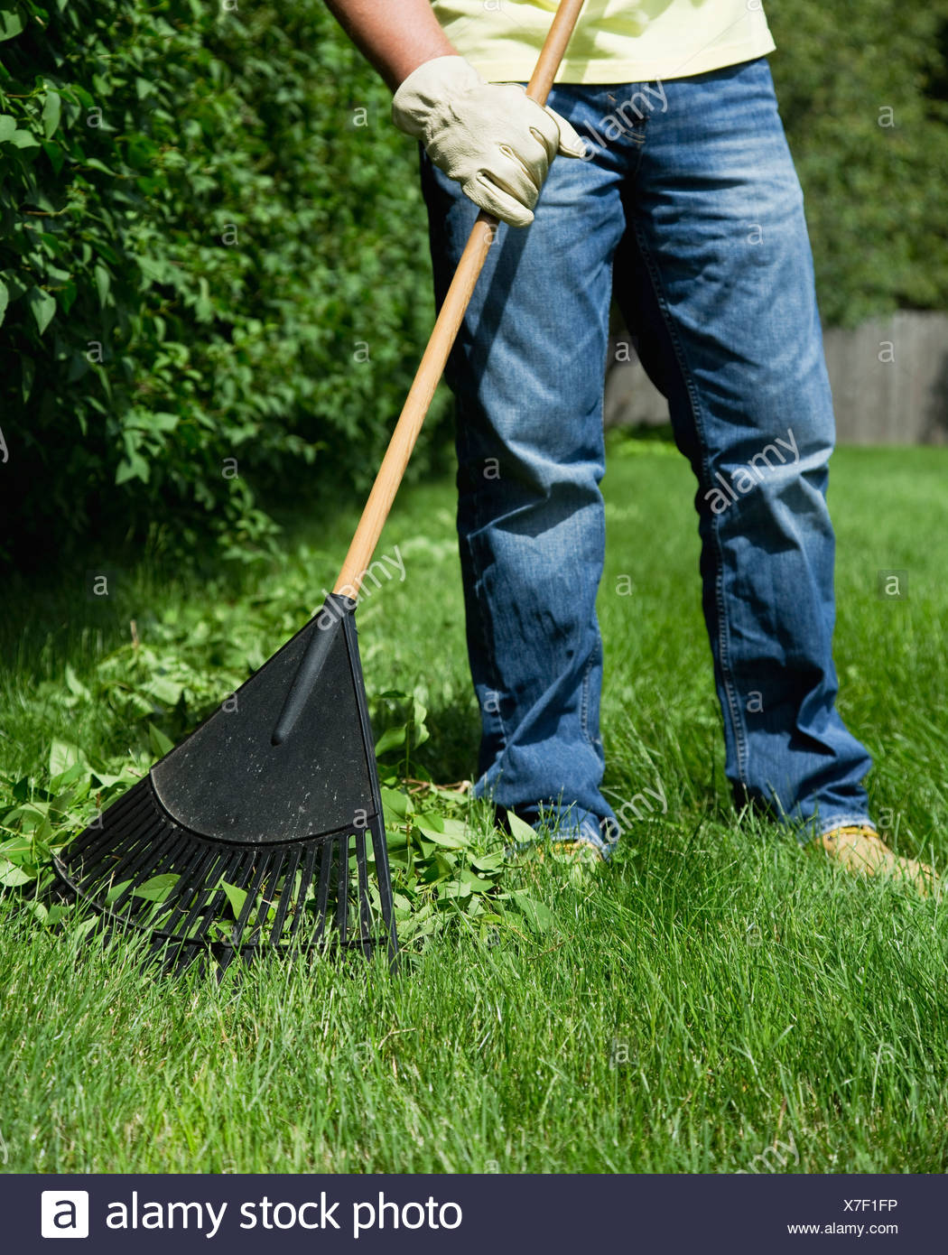 Raking Lawn Stock Photos & Raking Lawn Stock Images Alamy