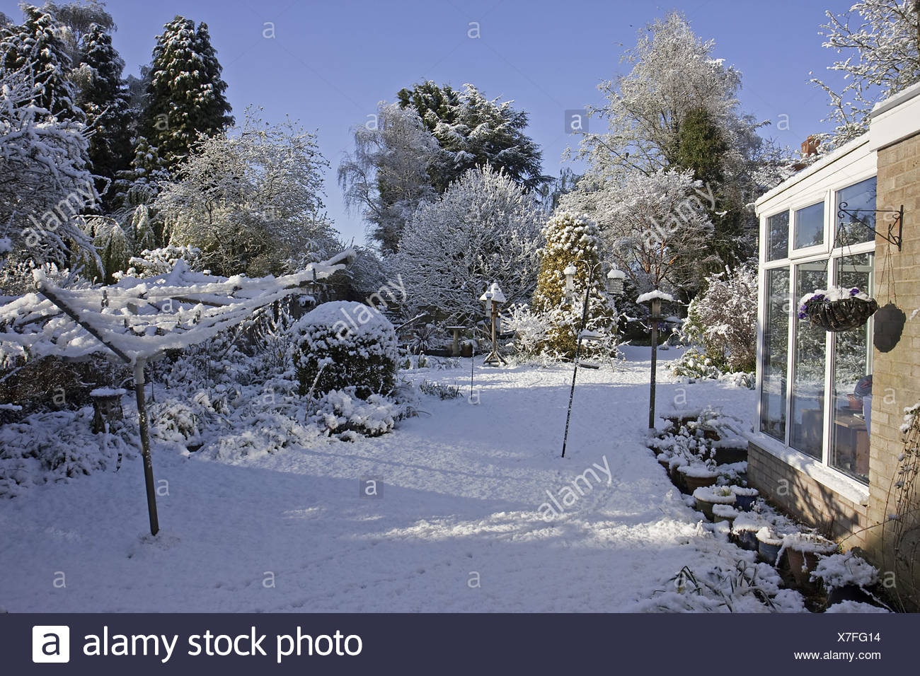 Warwickshire Bird Feeders Colour Garden Gardens Ice Snow Snowfall