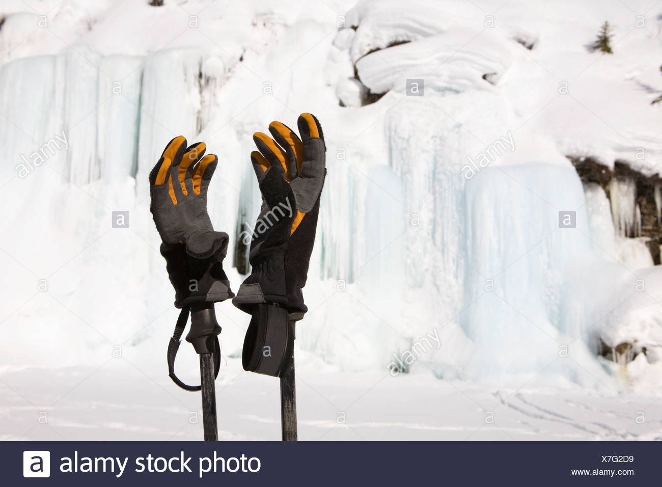 frozen snow gloves