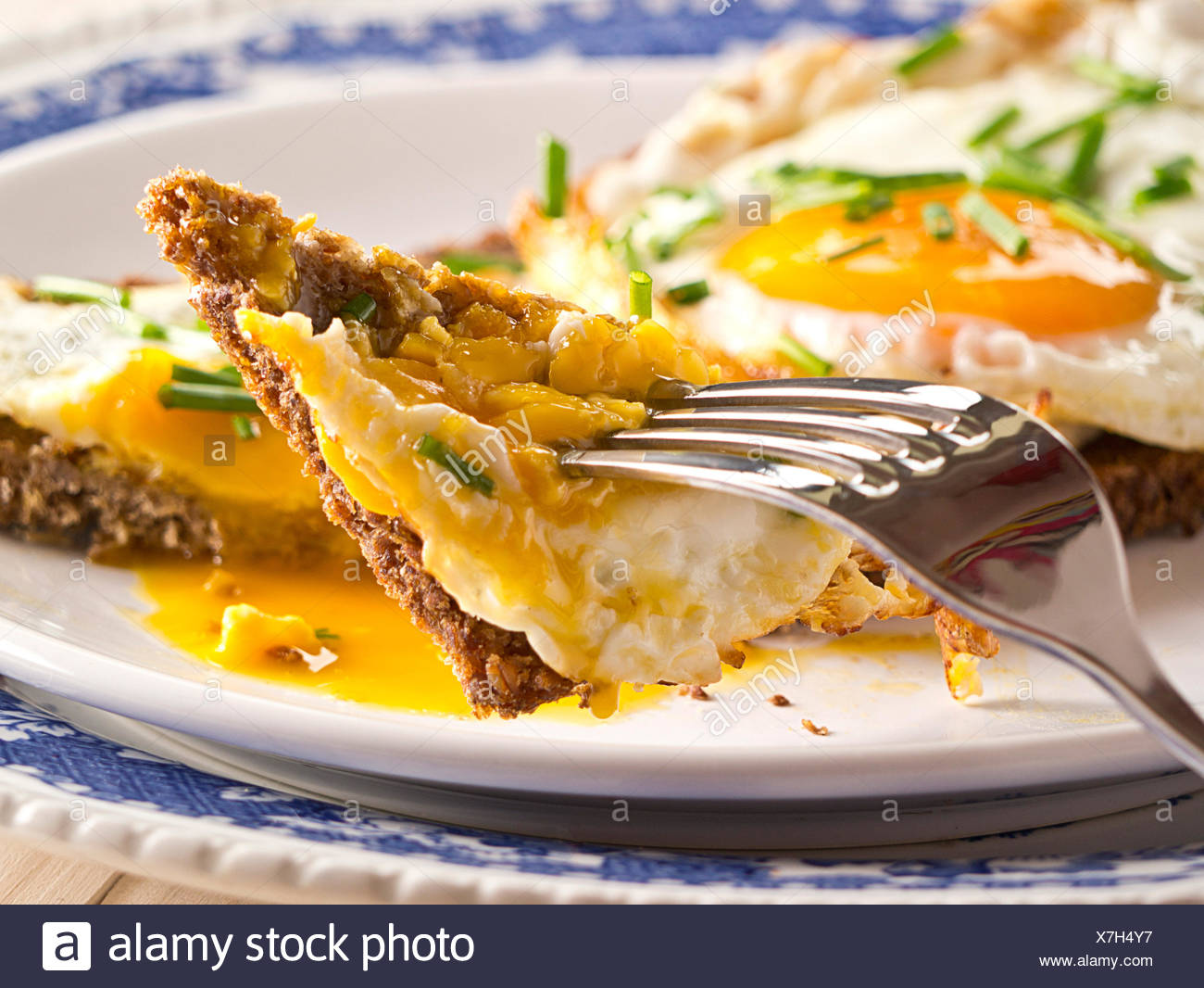 Fried egg on a slice of bread. Stock Photo