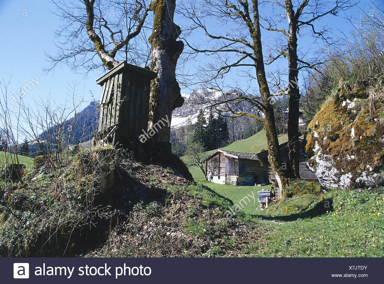 Germany Bavaria Berchtesgaden Upper Salt Mountain Front Fire