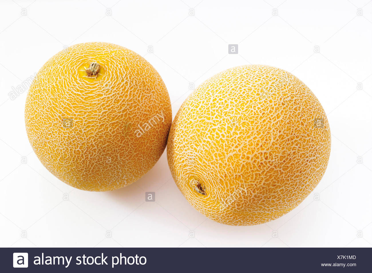 Melo Melo Melon Pan
