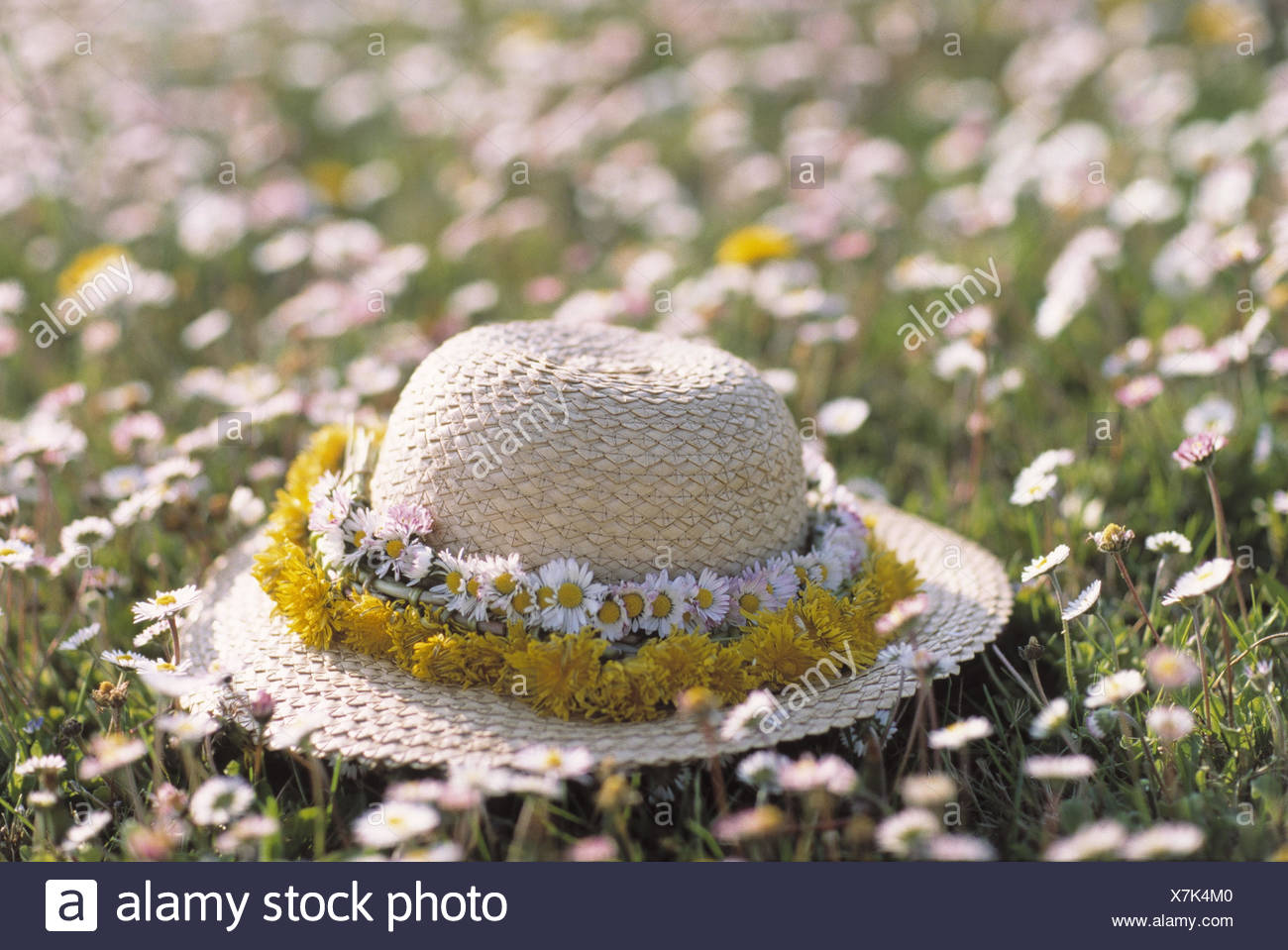 spring flower hat