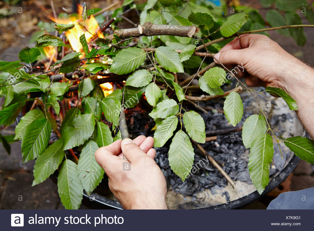 Garden Bonfire Leaves Stock Photos & Garden Bonfire Leaves Stock Images