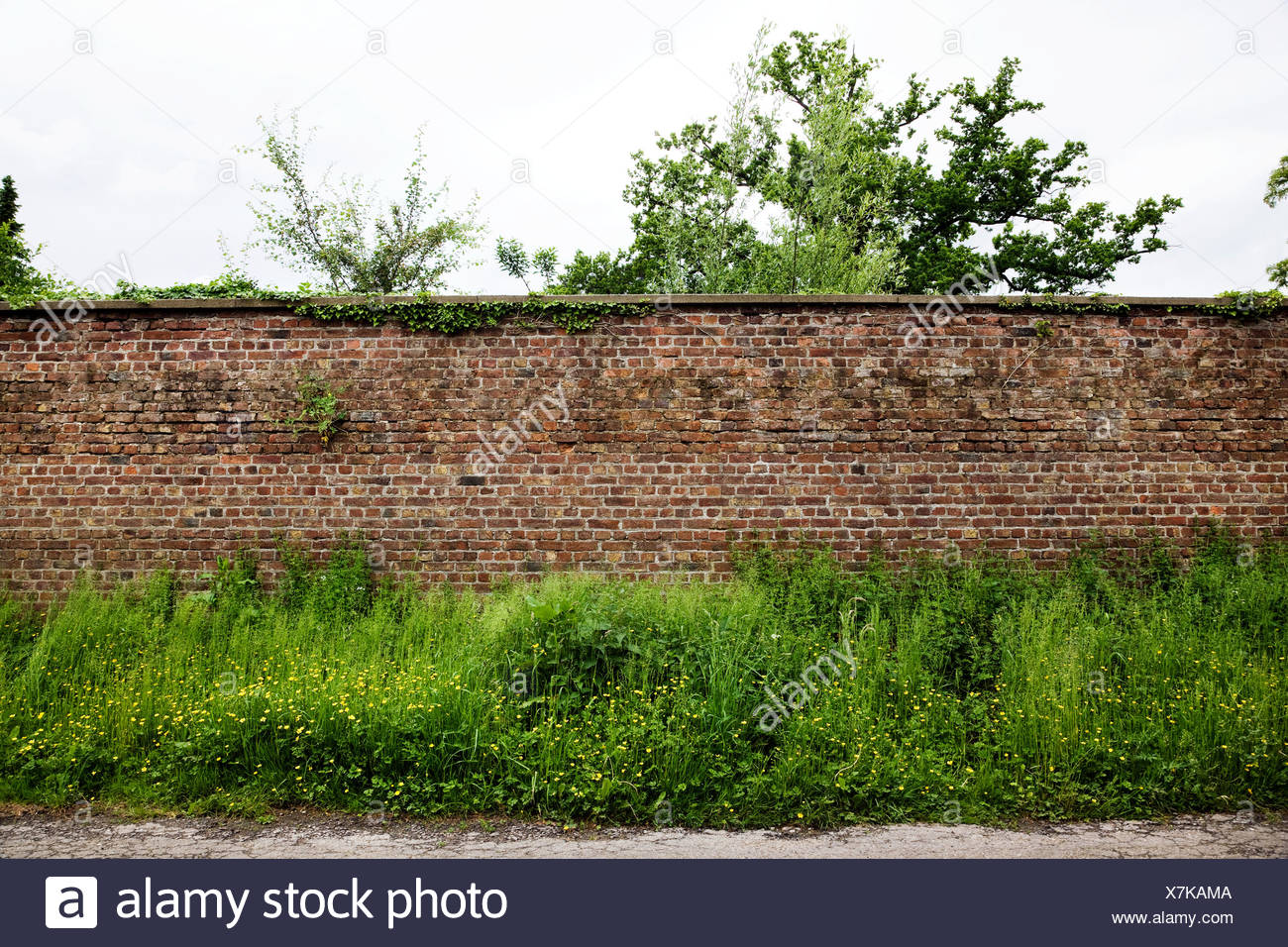 Brick Wall Stock Photos & Brick Wall Stock Images - Alamy