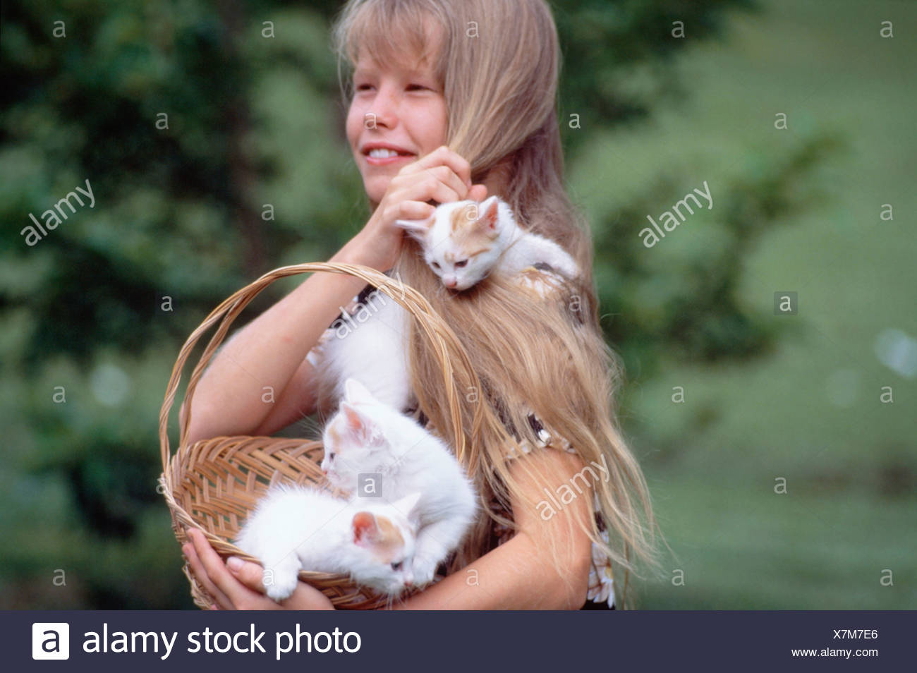 kittens and children