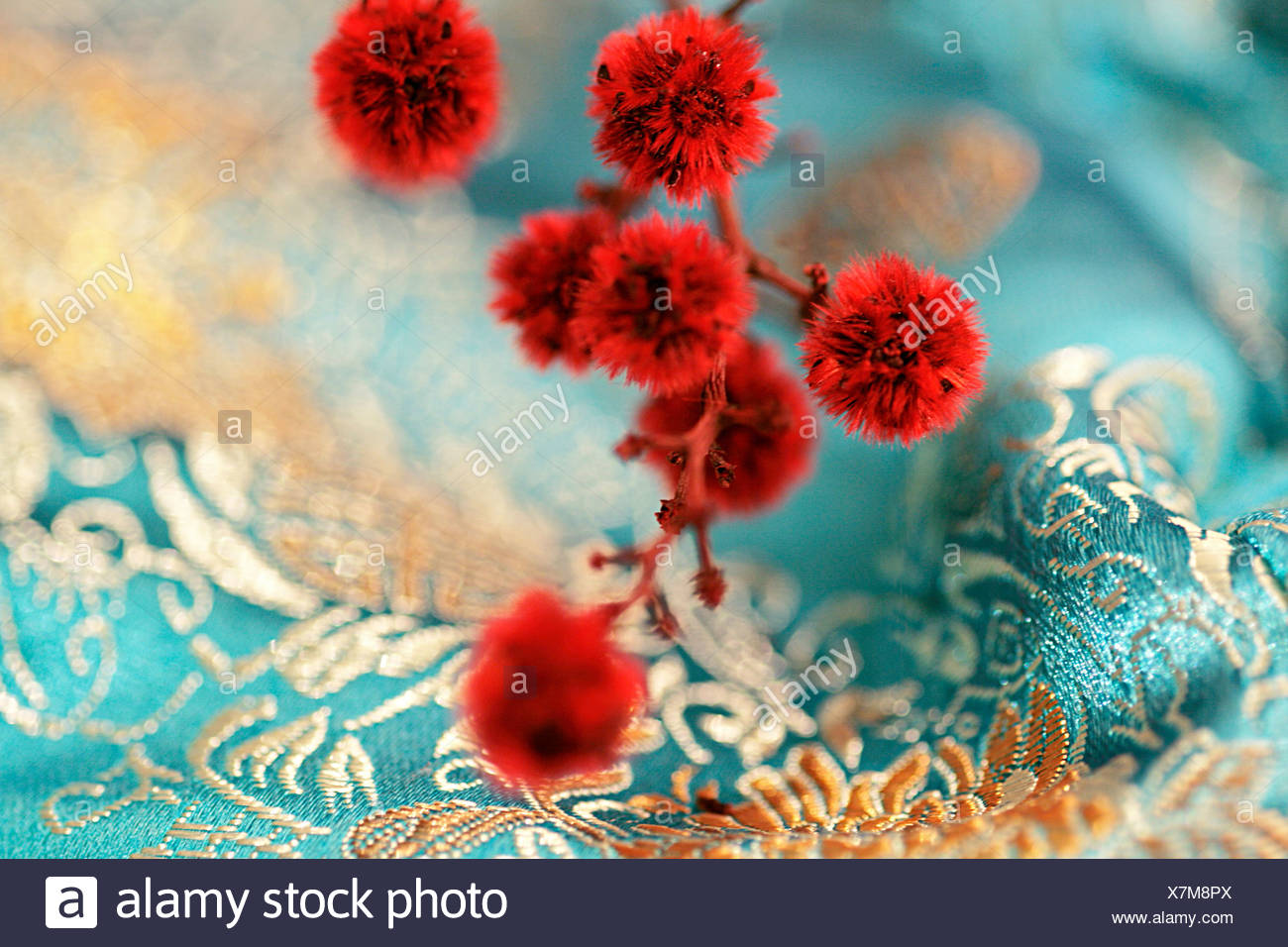 Tuft Flower Stock Photos & Tuft Flower Stock Images Alamy