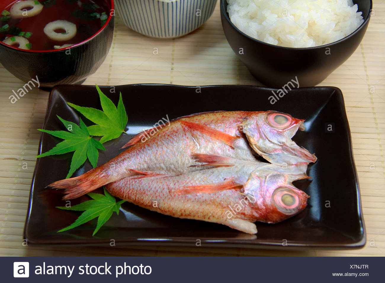 Rosy Seabass High Resolution Stock Photography and Images Alamy