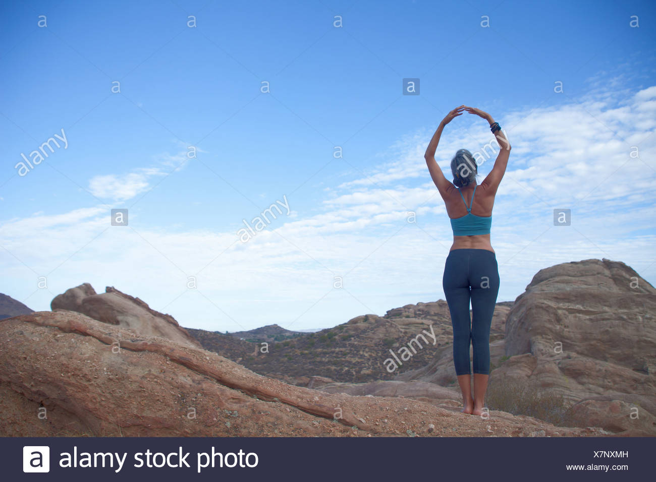 Woman Head Hands Rear View High Resolution Stock Photography and Images ...
