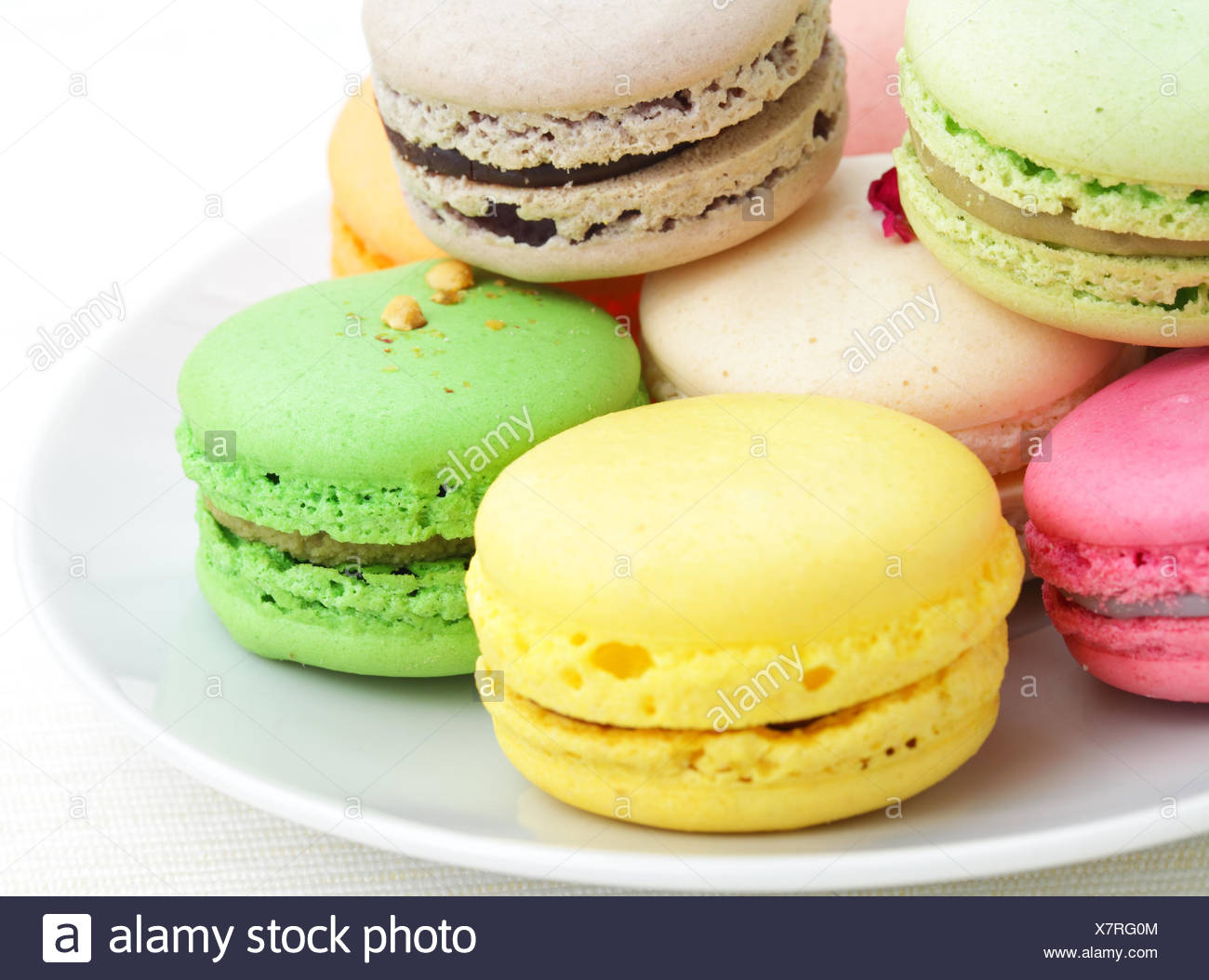 gourmet biscuits