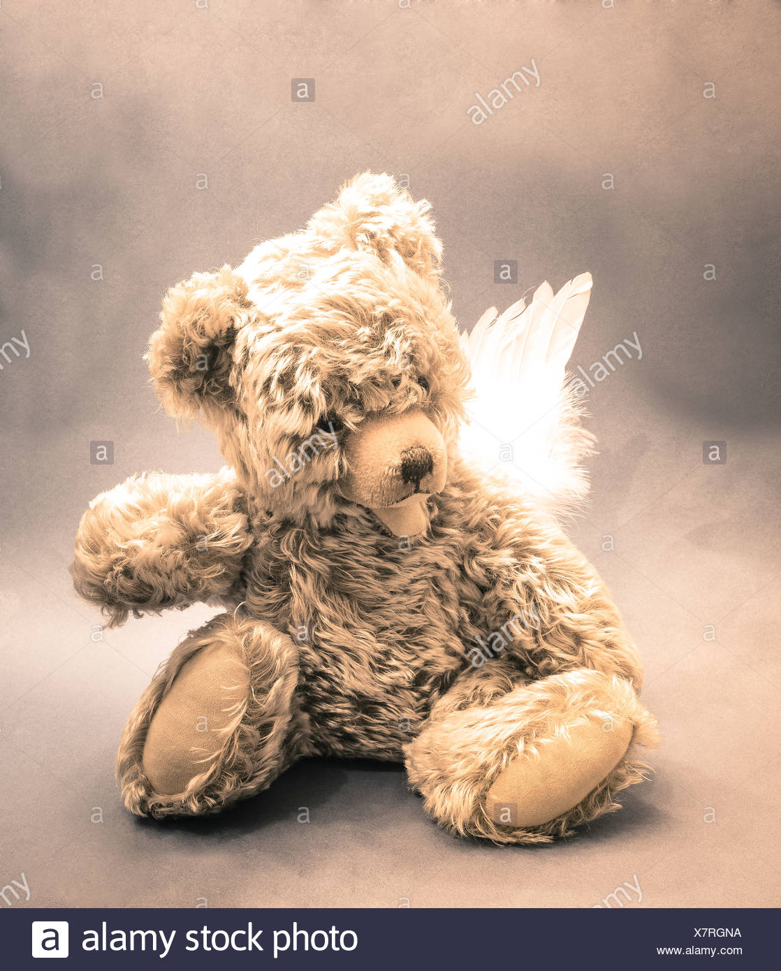 teddy bear with wings