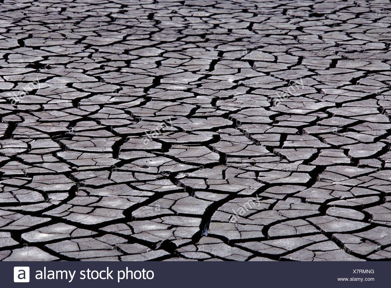 Parched earth pictures