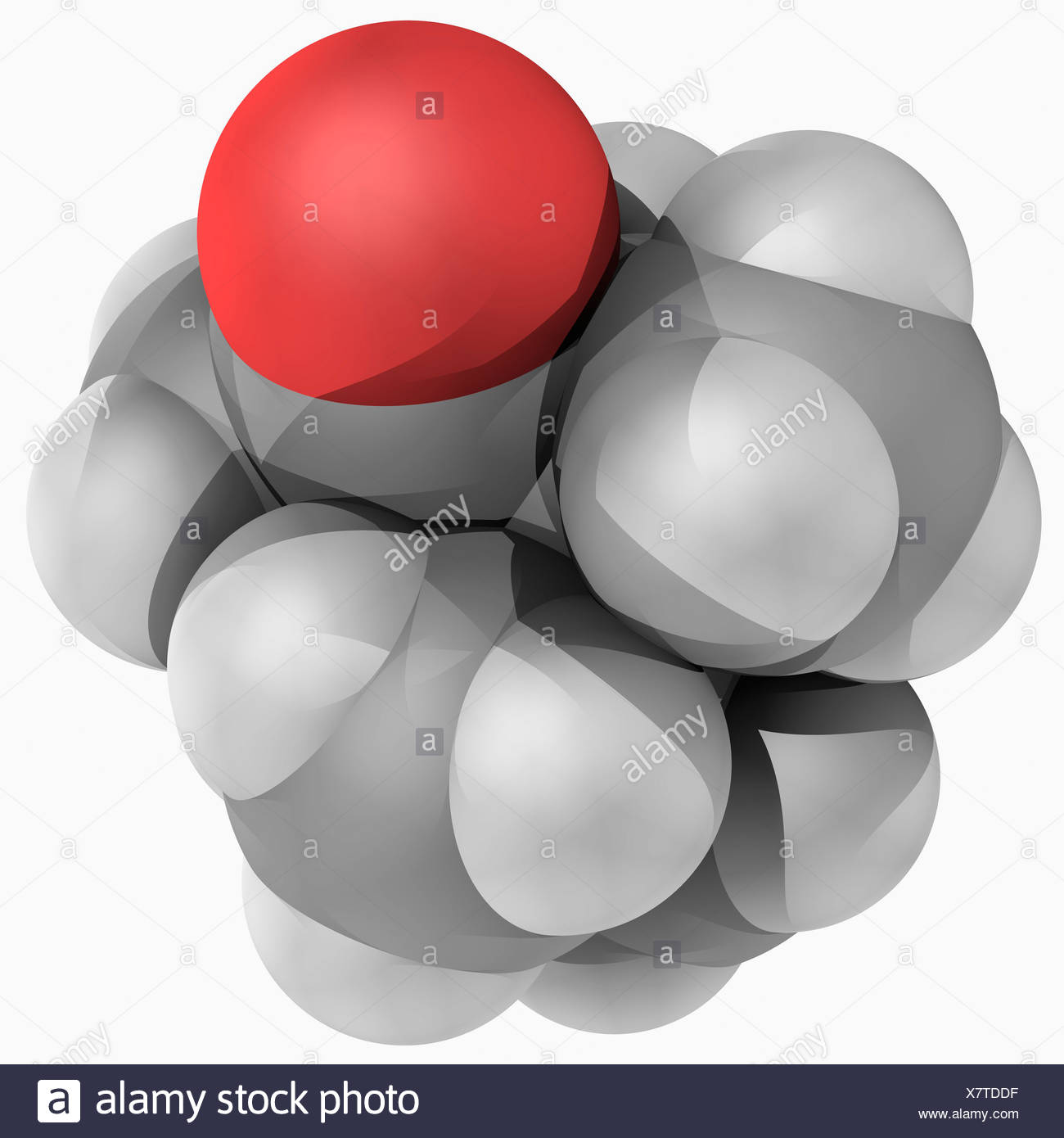 Camphor Molecule Stock Photos & Camphor Molecule Stock Images Alamy