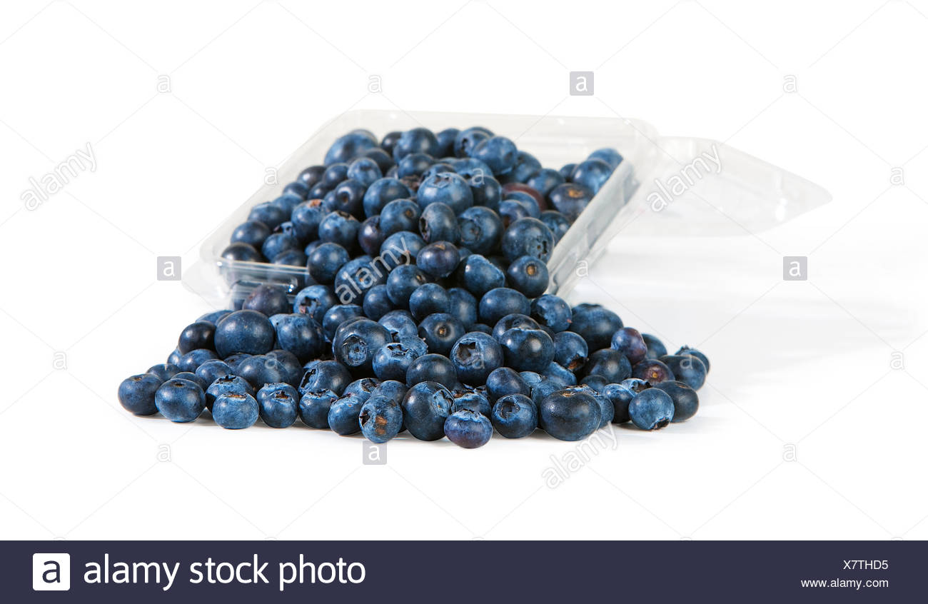 Download Plastic Container Overflowing With Abundant Fresh Blueberries Stock Photo Alamy Yellowimages Mockups