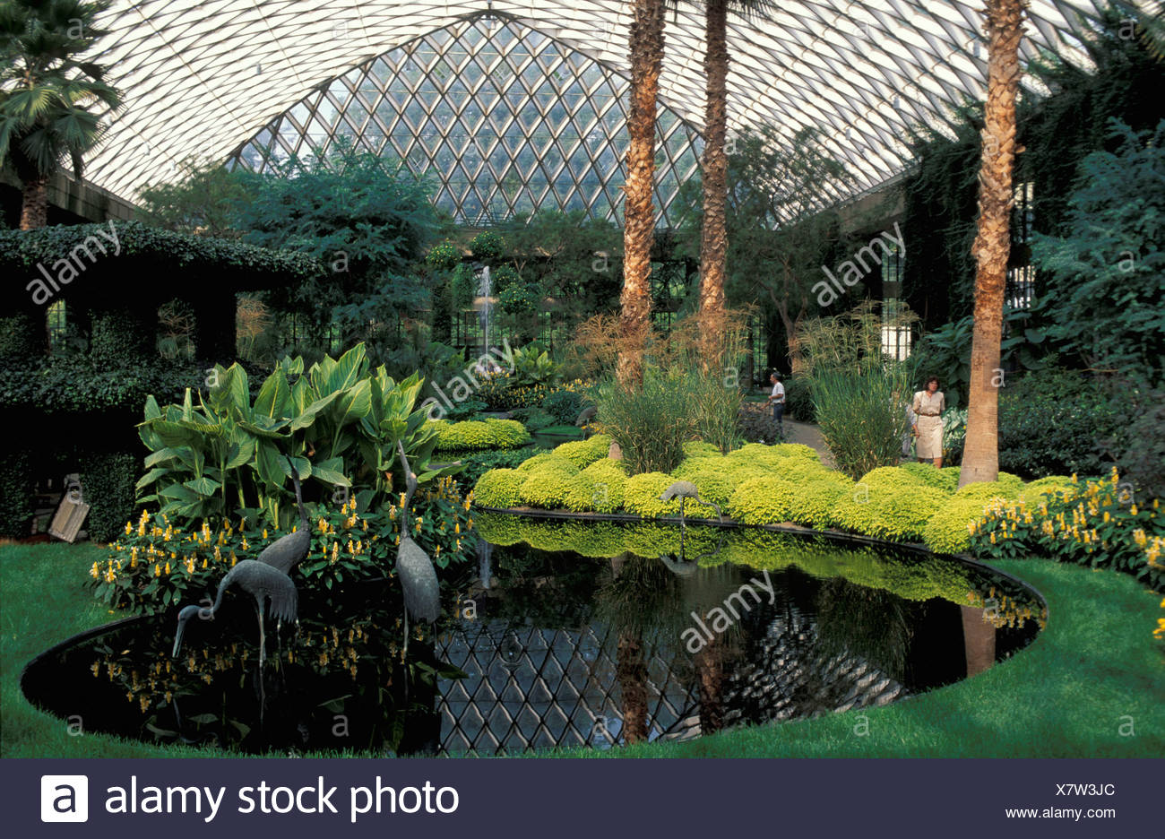 Botanical Garden Hall Halle Inside Pond Plants Greenhouse Longwood