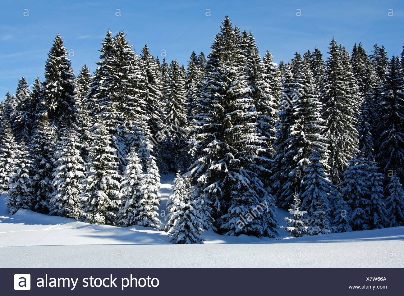 Jura Mountains Switzerland Winter High Resolution Stock Photography and