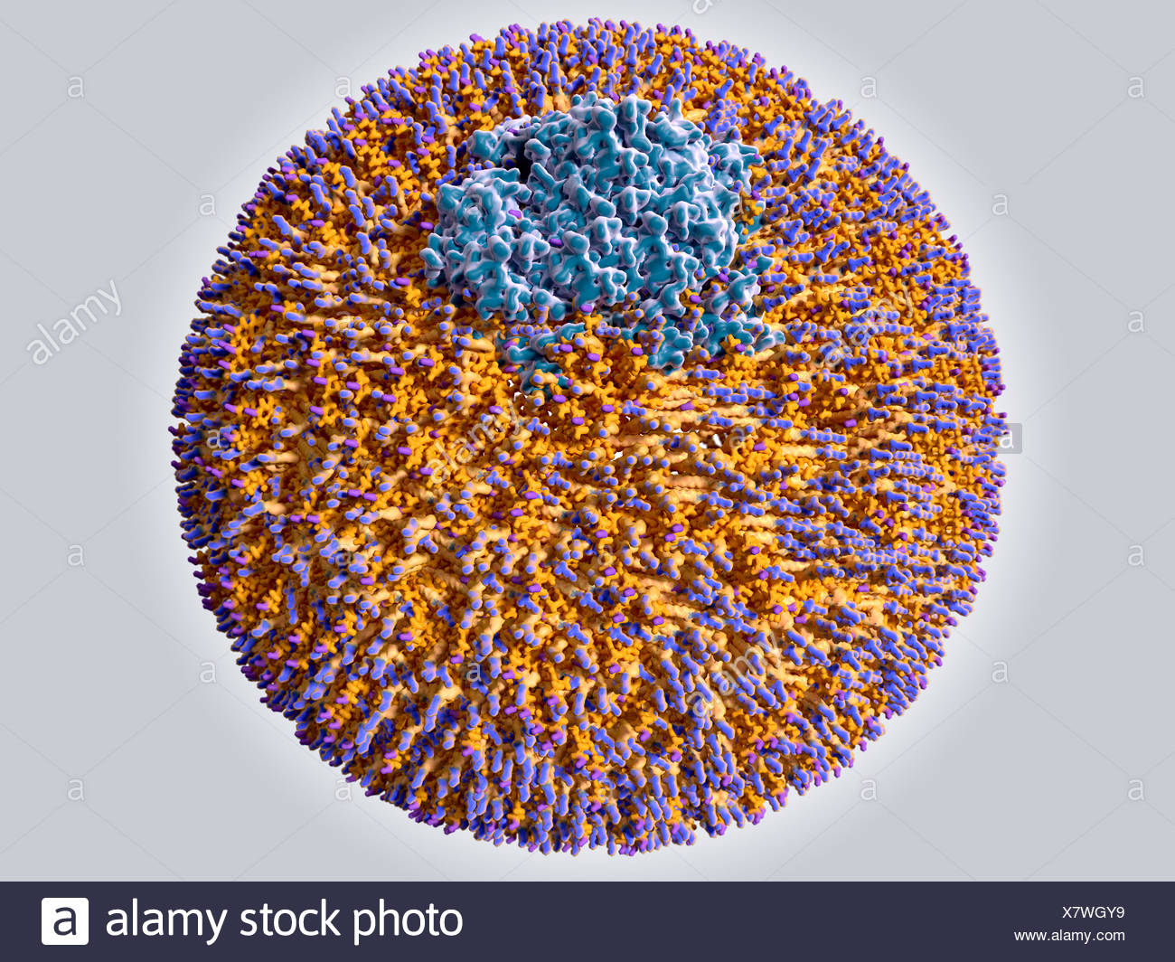 Very Low Density High Resolution Stock Photography and Images - Alamy