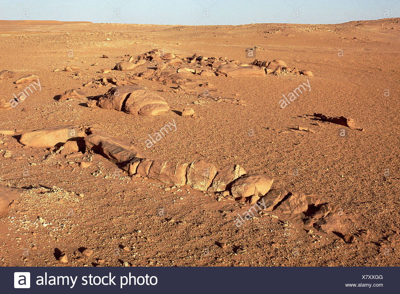 Archosaurian High Resolution Stock Photography and Images Alamy