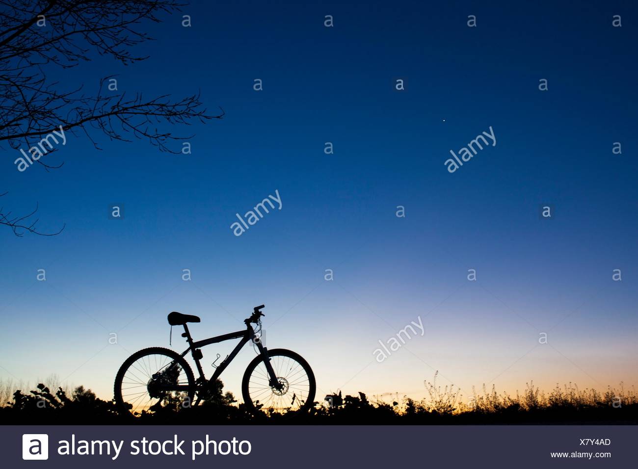 blue sky bicycles