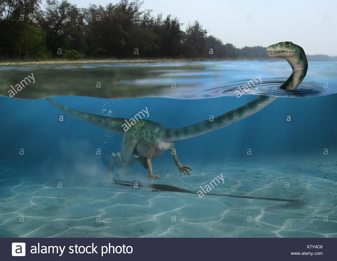 Tanystropheus High Resolution Stock Photography And Images Alamy