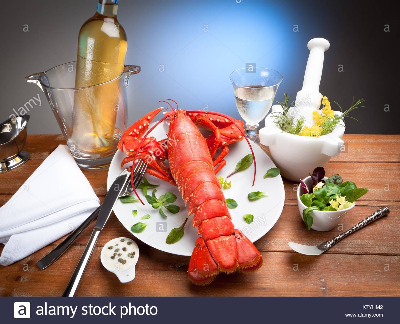 still life of cooked lobster with spices. Stock Photo