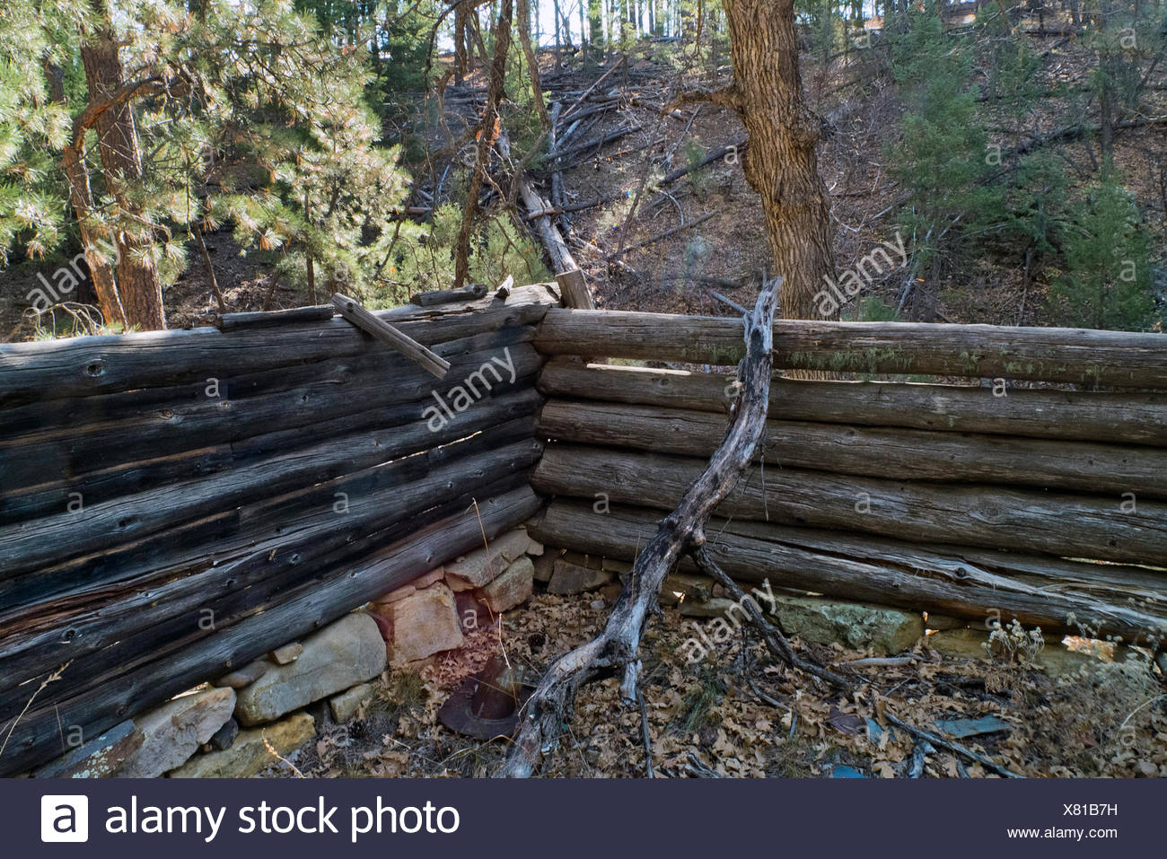 The Remains Of Secret Cabin On Secret Mountain Near Sedona