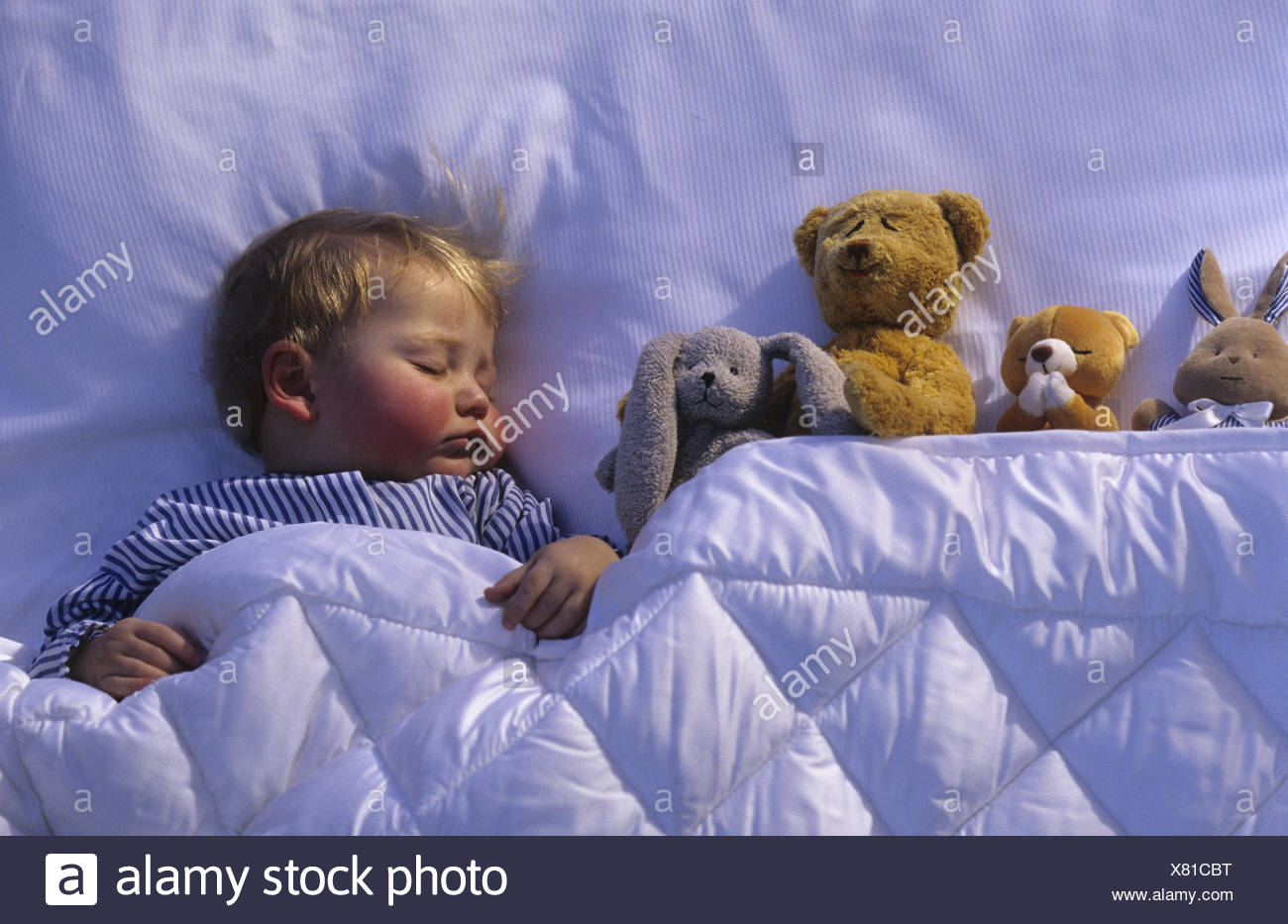 soft toys for 1 year old boy