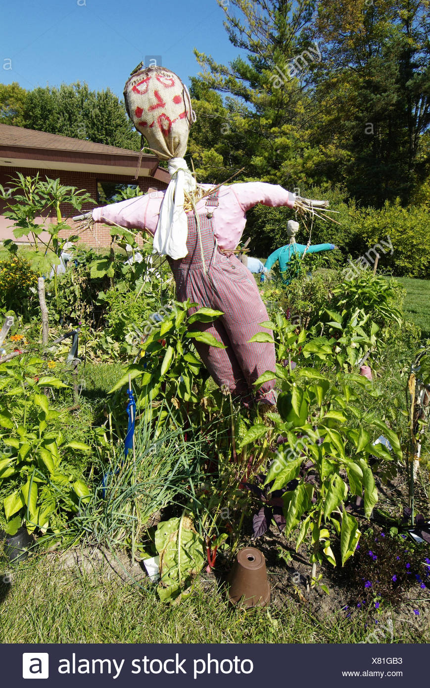 Scarecrow In Vegetable Garden Dow Gardens Midland Michigan Stock