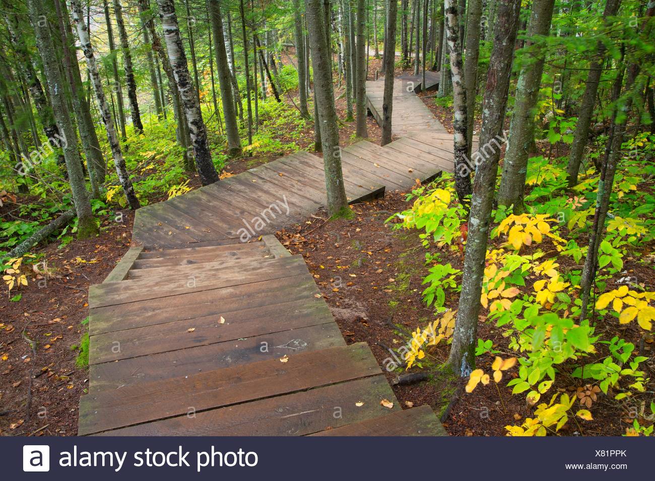 Superior Hiking Trail Tettegouche State Park Minnesota Stock Photo Superior Hiking Trail Tettegouche State Park Minnesota Stock Photo