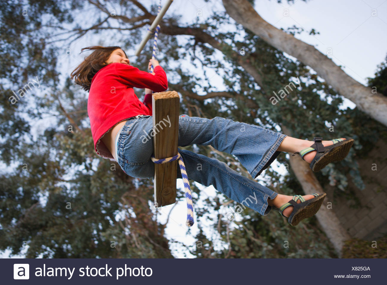 Rope Swing Hanging From Tree Stock Photos & Rope Swing Hanging From ...