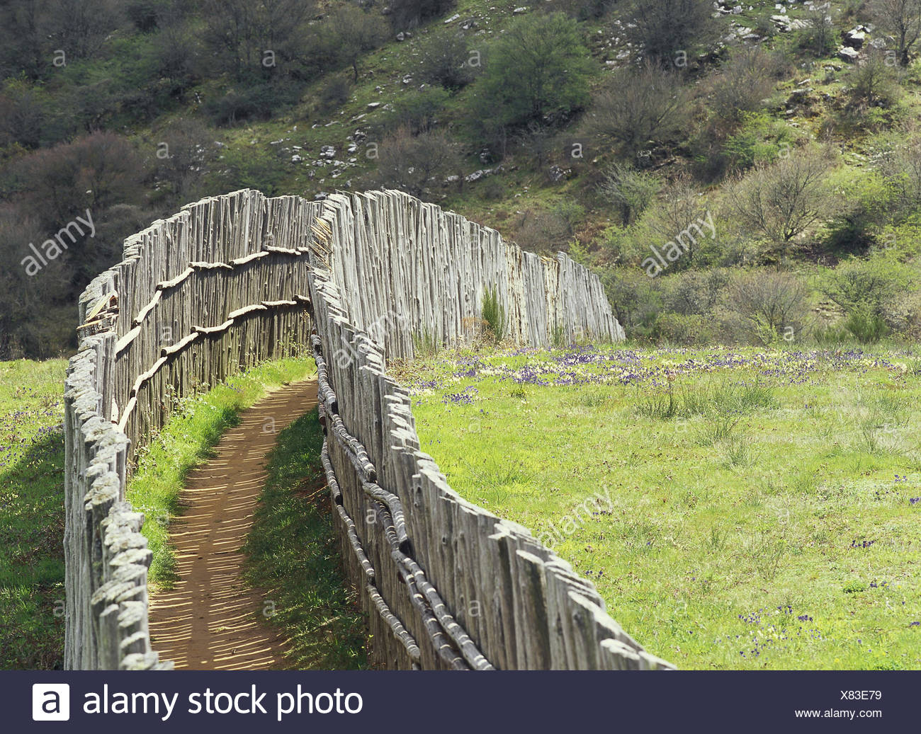 Italy, Tuscany, region Monte Amiata, nature reserve, Parco Faunistico, way,  fence, nature, park, game park, animal park, nature conservation,  enclosure, habitat, protection, enclosure, game enclosure, wooden fence,  palisade trench, closely, narrowly ...