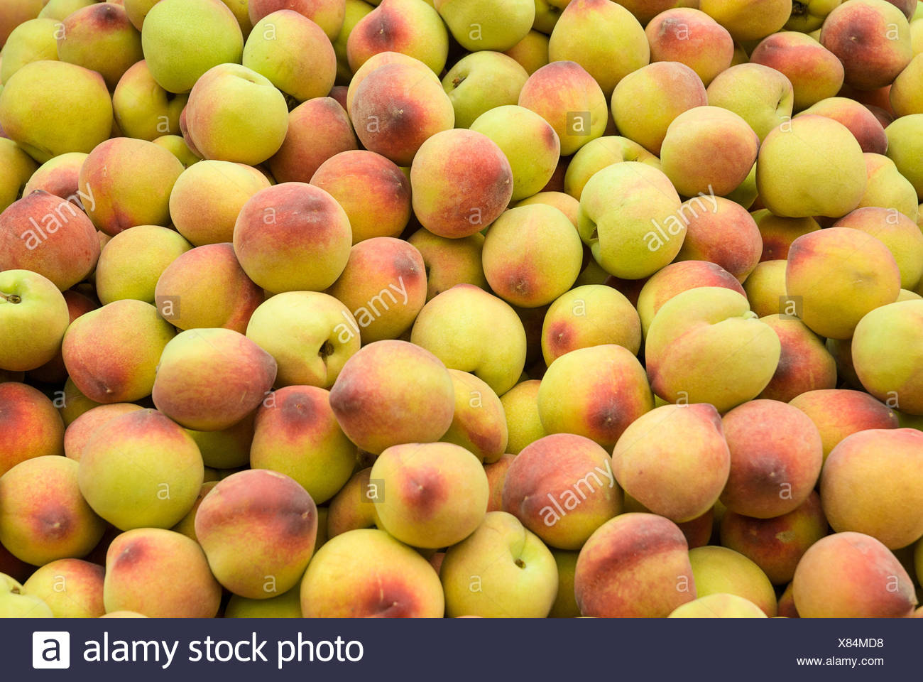 Peach Colour High Resolution Stock Photography And Images Alamy Peach Colour High Resolution Stock Photography And Images Alamy