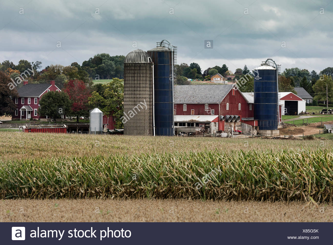 Farm, Lancaster County, Pennsylvania Stock Photos & Farm, Lancaster