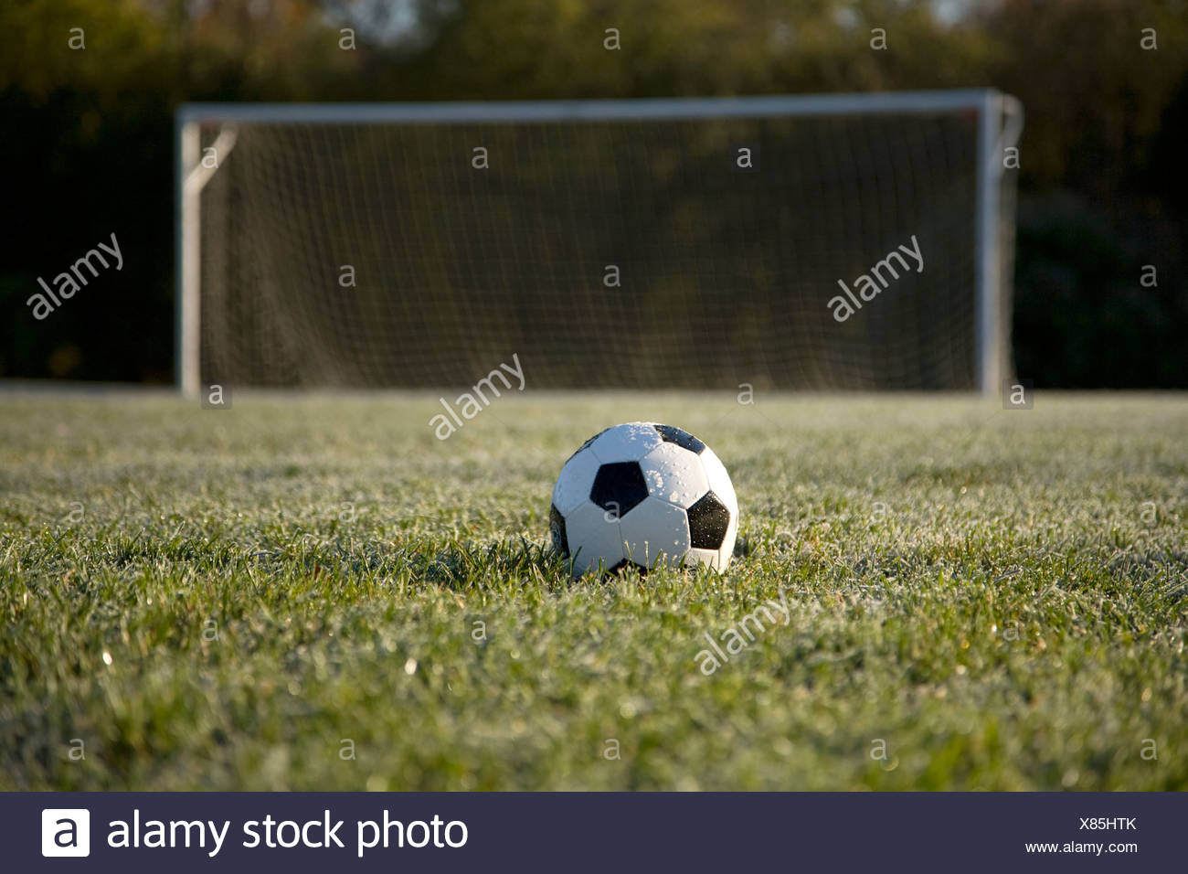 Soccer Ball On Field With Goal In Background Stock Photo Alamy