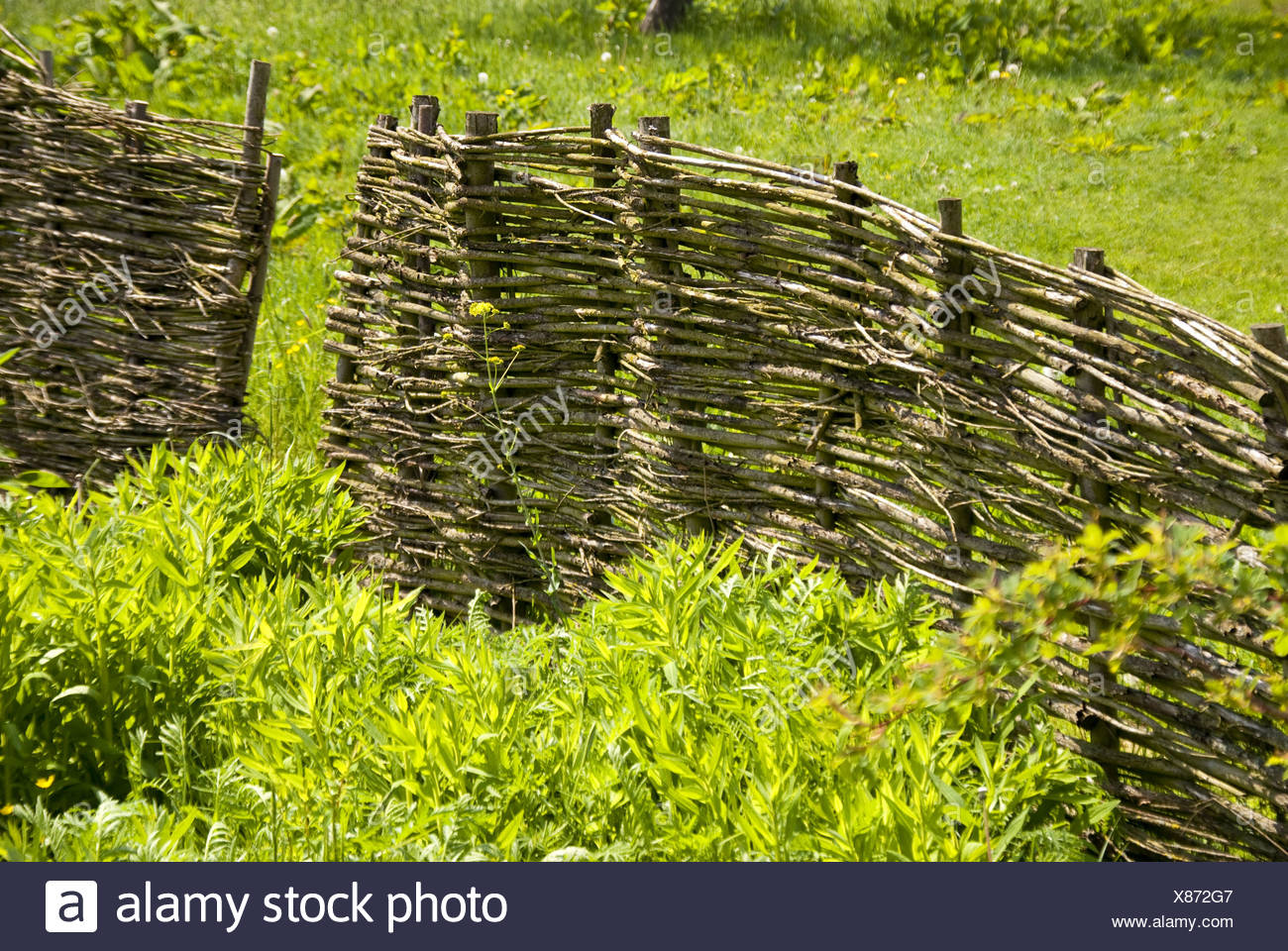Flechtzaun Stock Photo 280438823 Alamy Flechtzaun Stock Photo 280438823 Alamy