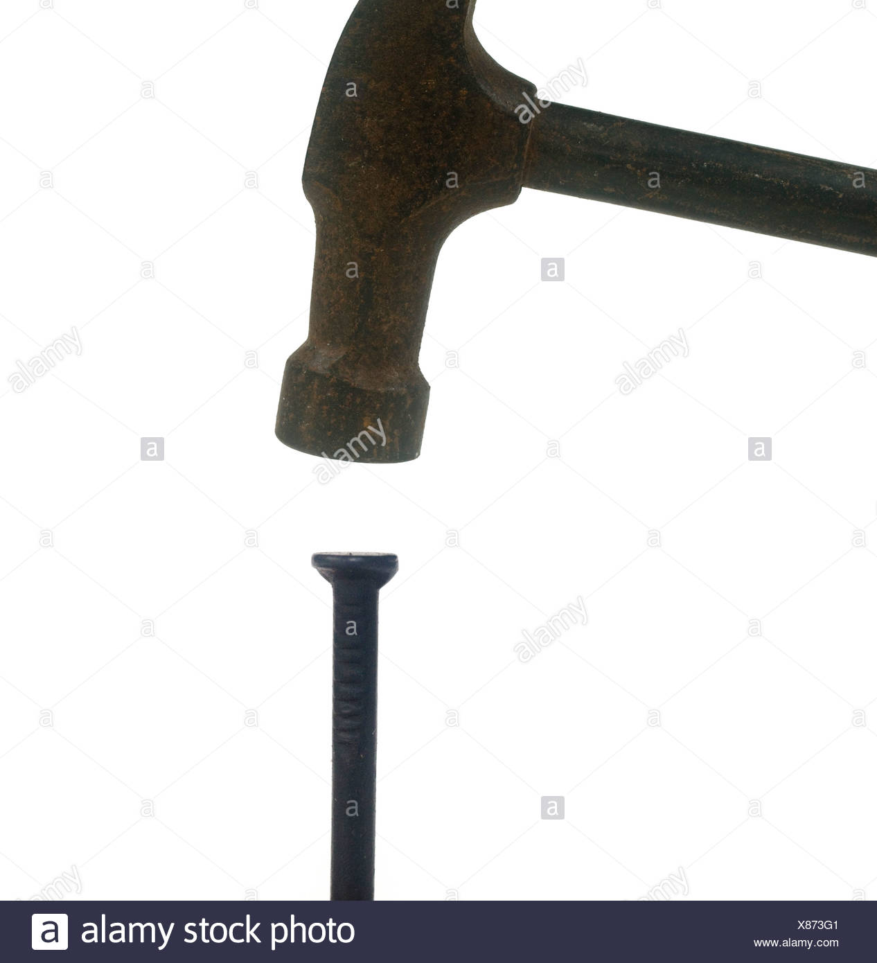 You Hit The Nail On The Head High Resolution Stock Photography And Images Alamy You Hit The Nail On The Head High Resolution Stock Photography And Images Alamy