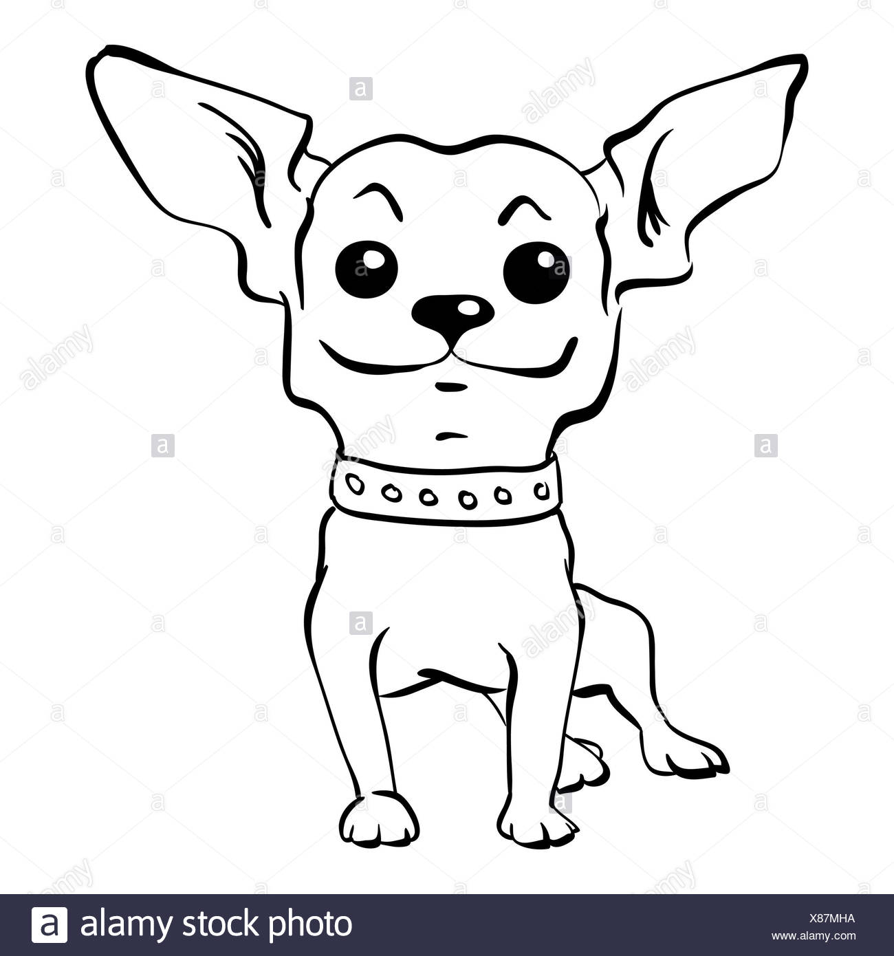 Vector Sketch Funny Chihuahua Dog Sitting Stock Photo Alamy Vector Sketch Funny Chihuahua Dog Sitting Stock Photo Alamy