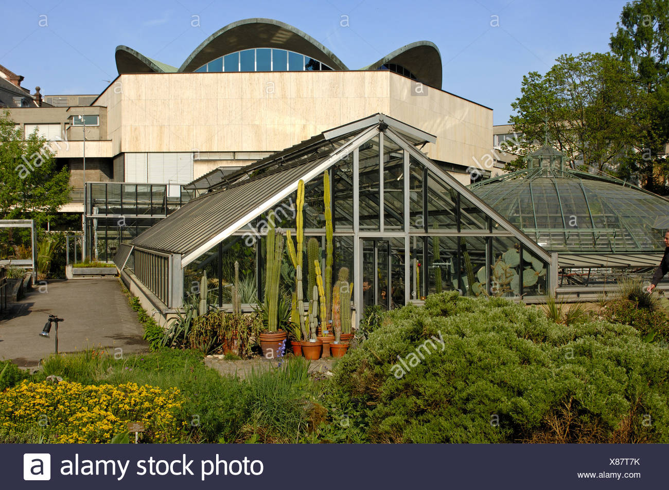 Botanical Garden Basel Basle Switzerland Stock Photo 280455831