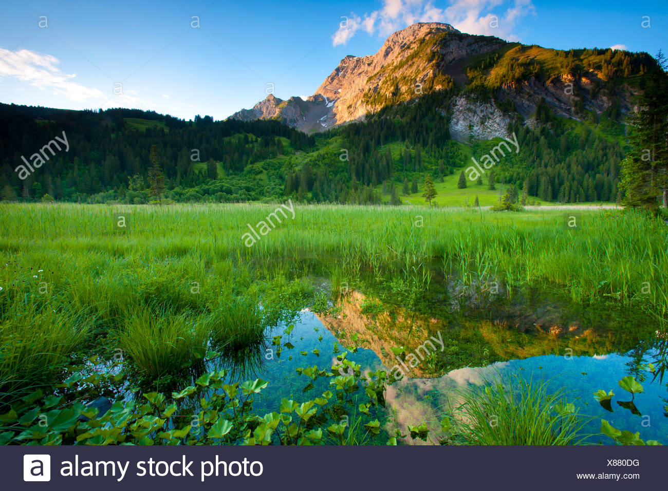 Littoral Zone High Resolution Stock Photography And Images Alamy